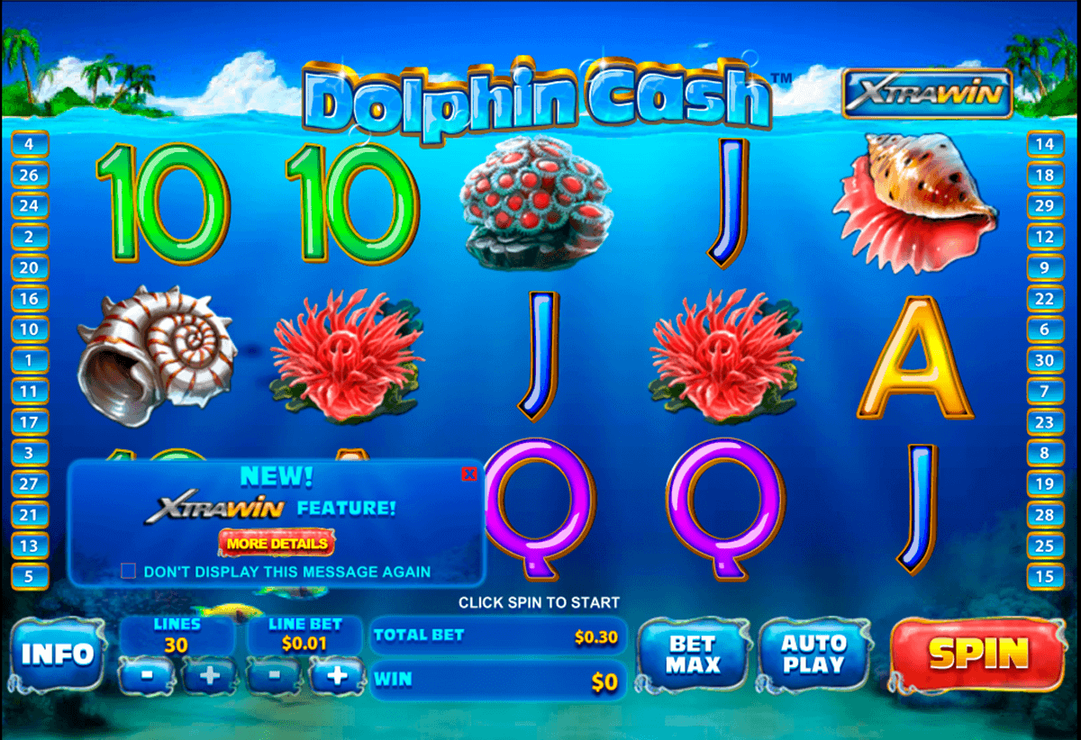 dolphin cash playtech 