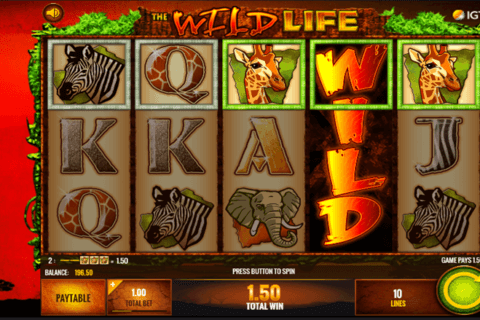 Wild Life Slot spin