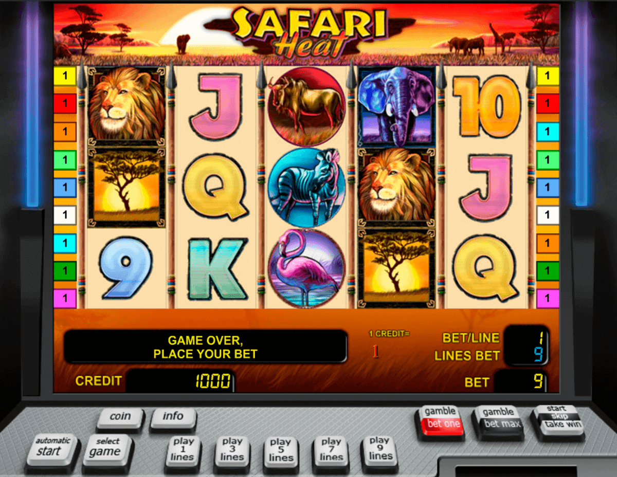 safari heat игровые автоматы онлайн