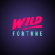 Wild Fortune Casino